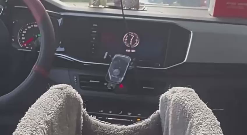 Seggiolino Portatile 2 in 1 per Auto MewBau™